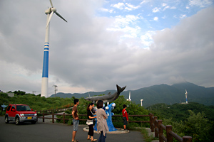 九州電力の風力発電機が林立