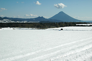 雪に覆われた畑と開聞岳